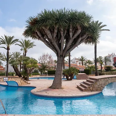 El Palmar Oliba * 德尼亚